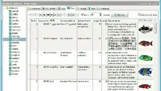 SQLite Expert Professional screenshot