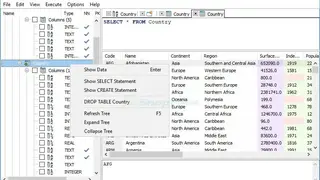 SQLiteSpy screenshot