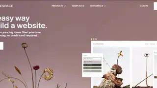 Square space screenshot