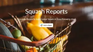 Squash Reports screenshot