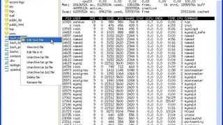 SSH Explorer screenshot
