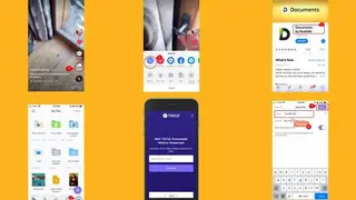 SSSTikTok screenshot