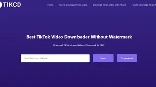 SSSTikTok screenshot
