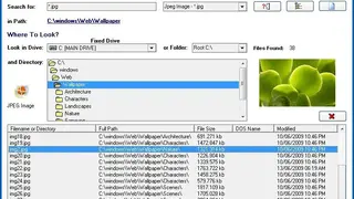 SSuite Desktop Search Engine screenshot