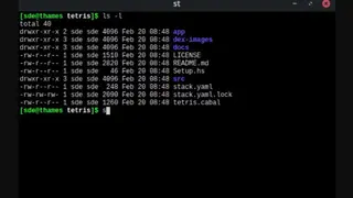ST – Simple Terminal screenshot