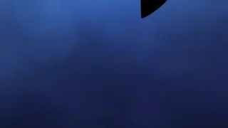 Stalker Cat Live Wallpaper screenshot