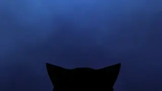 Stalker Cat Live Wallpaper screenshot