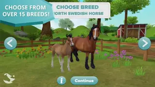 Star Stable Horses screenshot