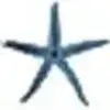 StarFisher