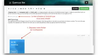 Start & Doc screenshot