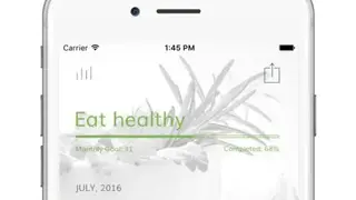 Steady Calendar screenshot