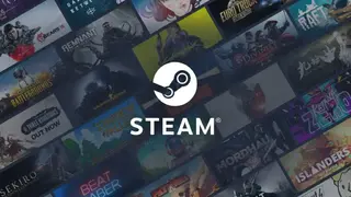 Steam screenshot