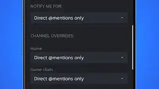 Steam Chat screenshot