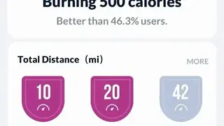 Step Tracker screenshot