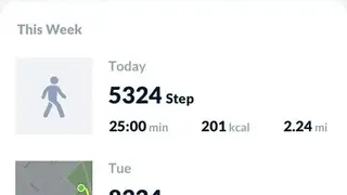 Step Tracker screenshot