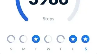 Step Tracker screenshot