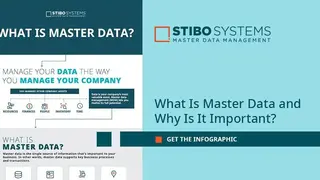 Stibo Systems MDM screenshot
