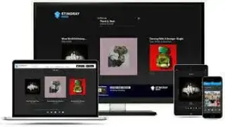 Stingray Music screenshot