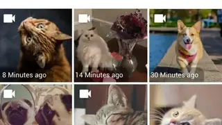 Story Saver for Instagram – Story Downloader screenshot