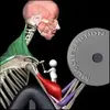 Strength Training by Muscle and Motion