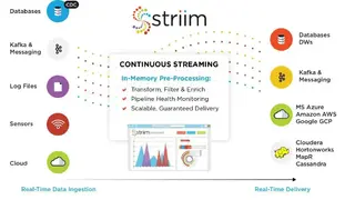 Striim screenshot