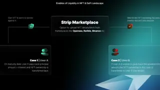 Strip Finance screenshot