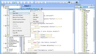 Stylus Studio screenshot