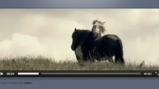SublimeVideo screenshot