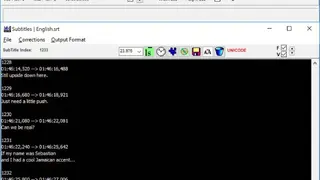 SubRip screenshot