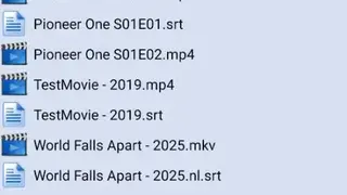 Subtitle Downloader screenshot