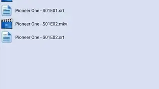 Subtitle Downloader screenshot