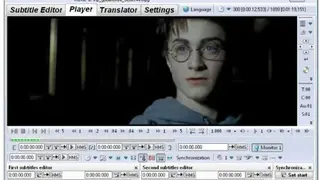 Subtitle Processor screenshot