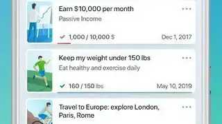 Success Life Coach screenshot