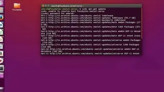 Sudo screenshot