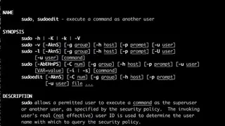 Sudo screenshot