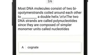Summary Scanner screenshot