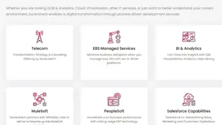 Suneratech Cloud Consulting Services screenshot