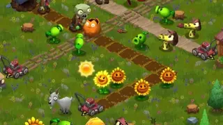 SunFlowers screenshot