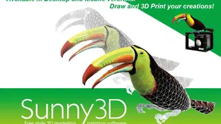 Sunny 3D screenshot