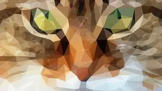 SuperPhoto by Moonlighting screenshot