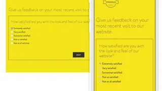 Survey55 screenshot