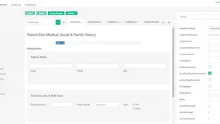SurveyJS screenshot