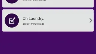 SurveyMini screenshot