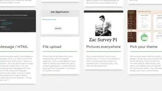 SurveyNuts screenshot