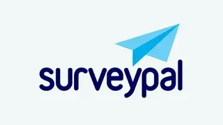Surveypal screenshot