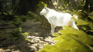 Survivalizm: The Animal Simulator screenshot