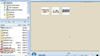 SWF Picture Extractor screenshot
