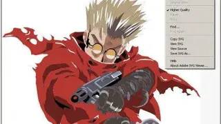 SWFRIP screenshot