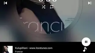 Swiper Music Player screenshot