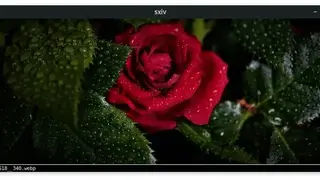 Sxiv screenshot